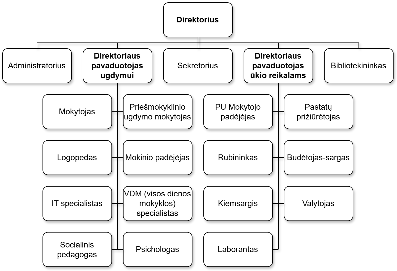 Valdymo struktūros schema